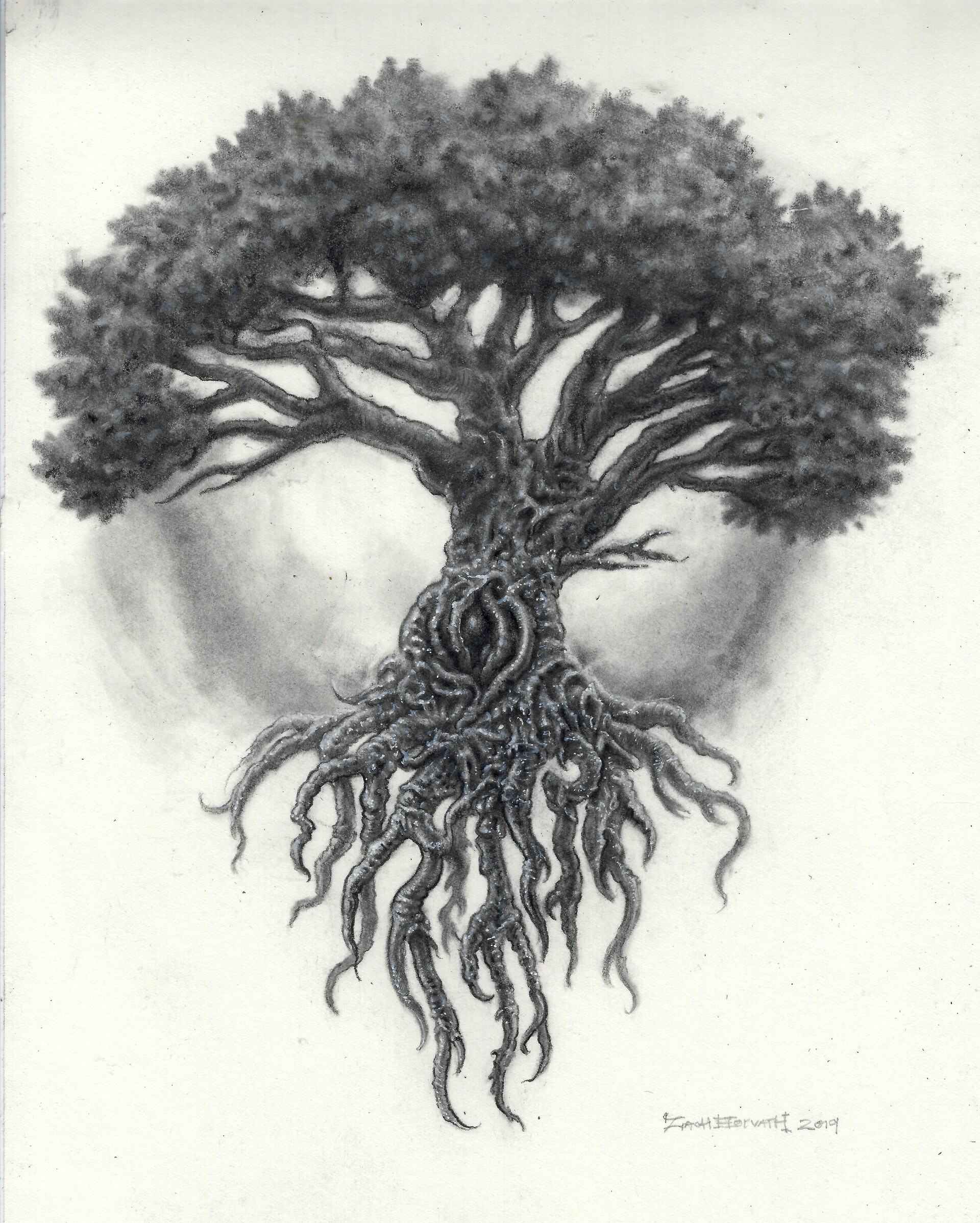 tree of life drawing