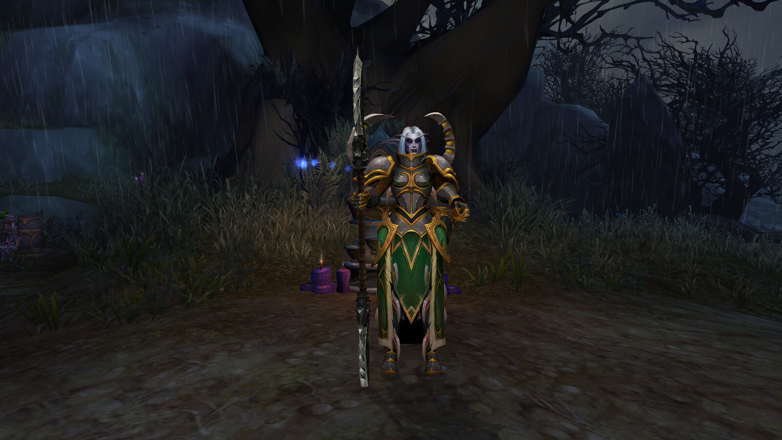 Night Elf at the Warden camp on the Broken Isles.