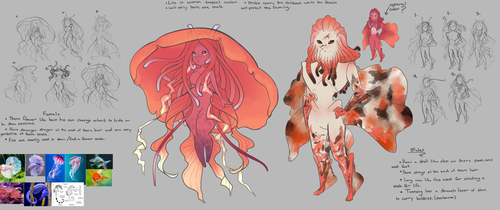 Sketch and idea layout