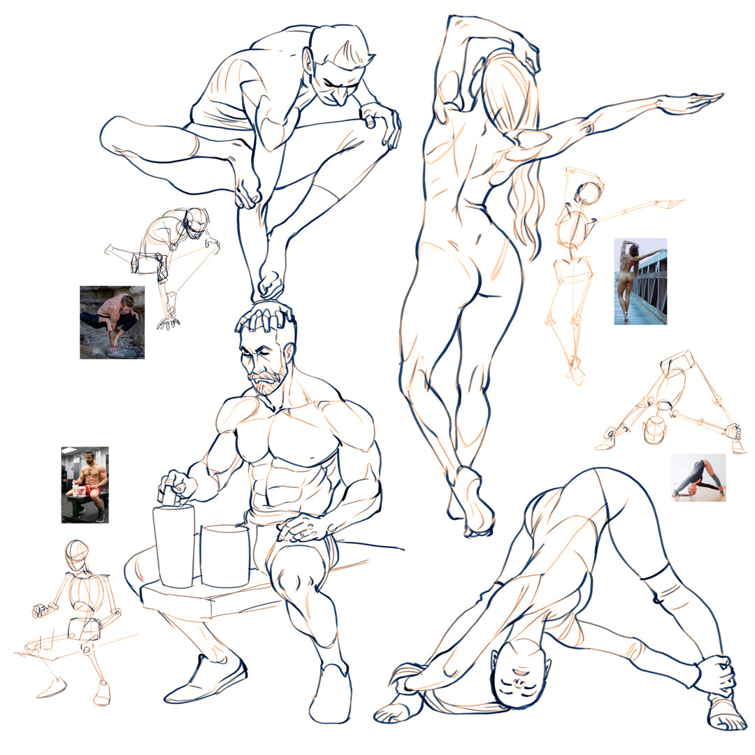 Gearing up for another big anatomy push. 