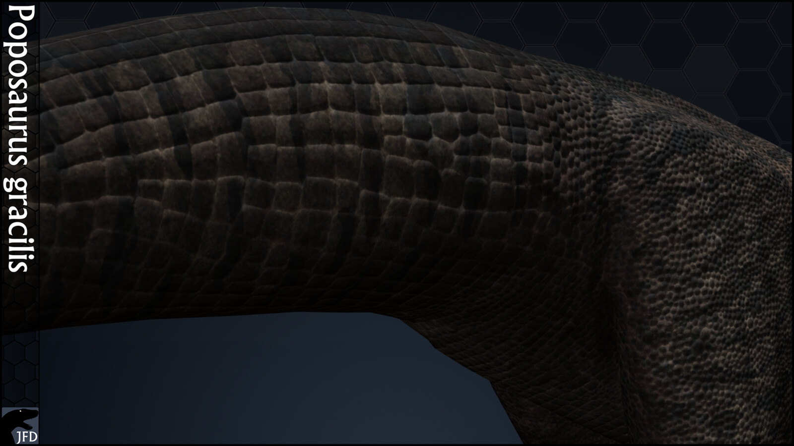Poposaurus gracilis tail base and thigh render.