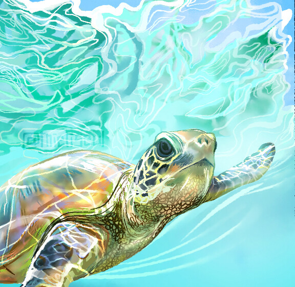 Niqi Chasseau World Turtle Day Niqi Chasseau World Turtle Day