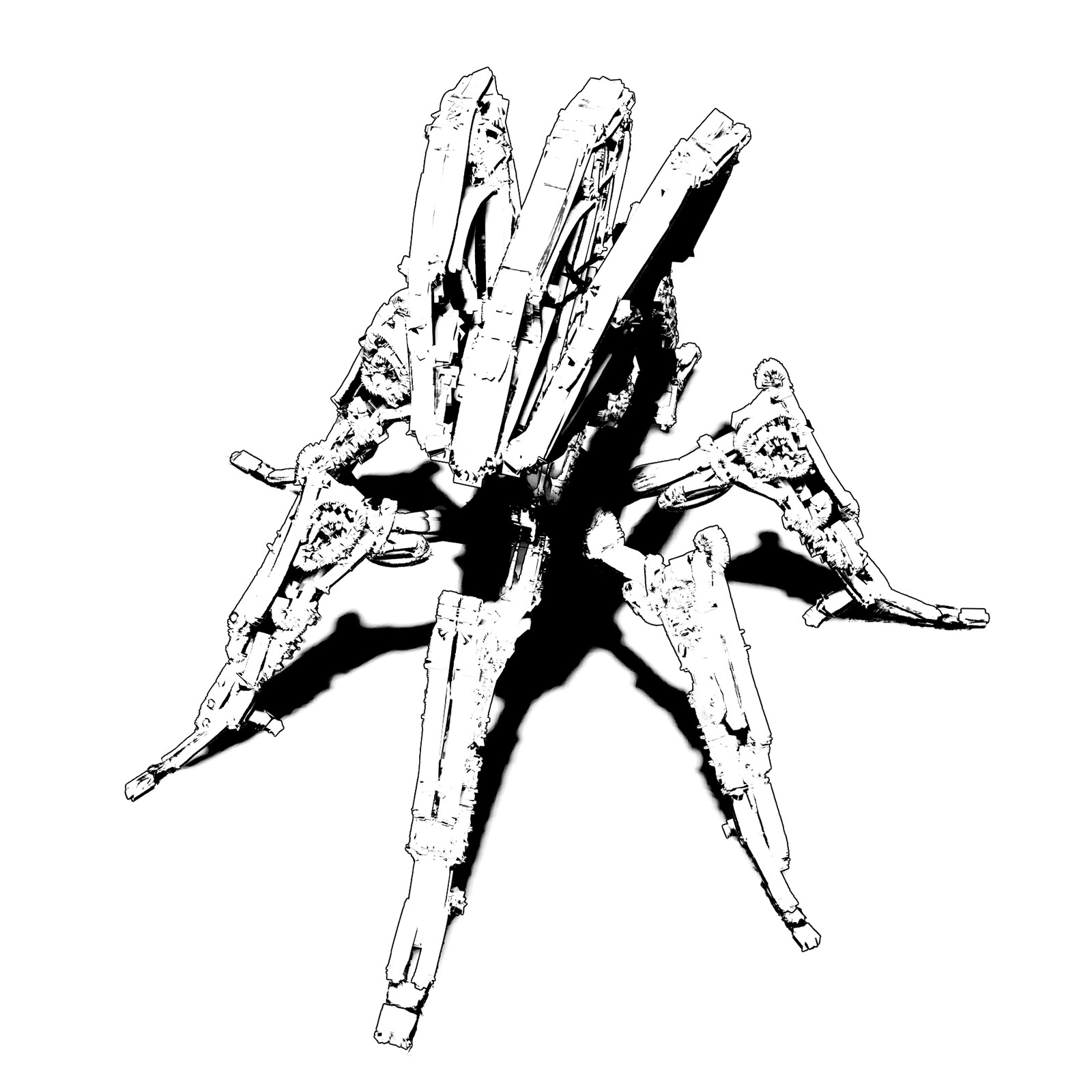 Araneus