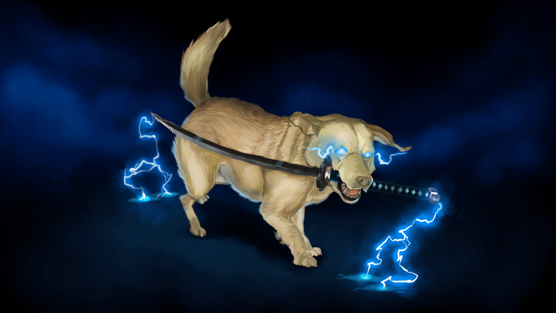 Thunder dog cheap