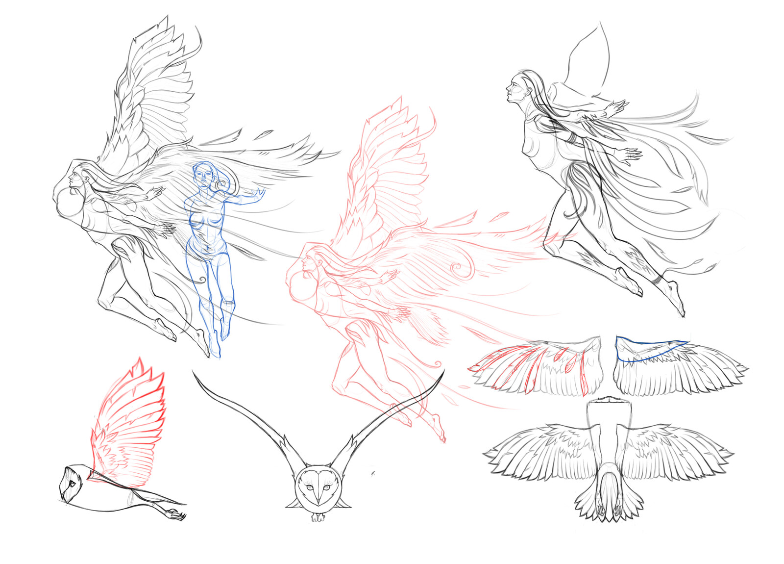 My sketches for reference