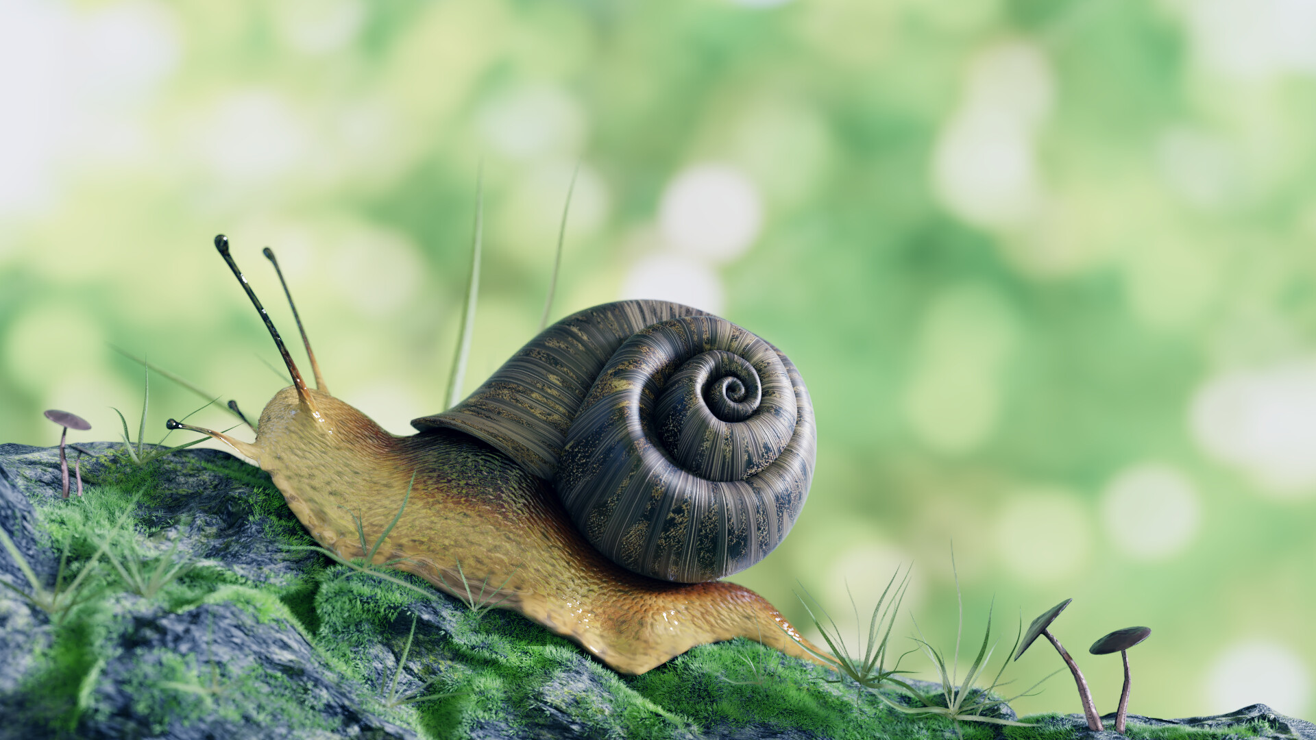 ArtStation Dreaming Snail