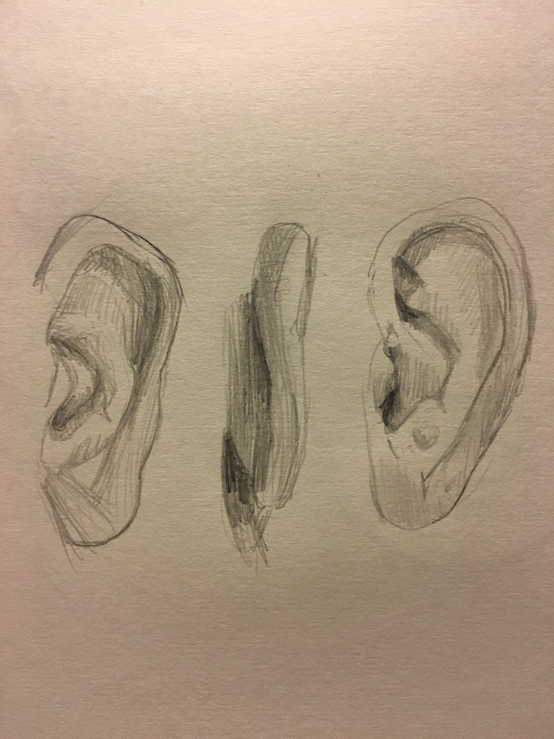 ArtStation - Ear study