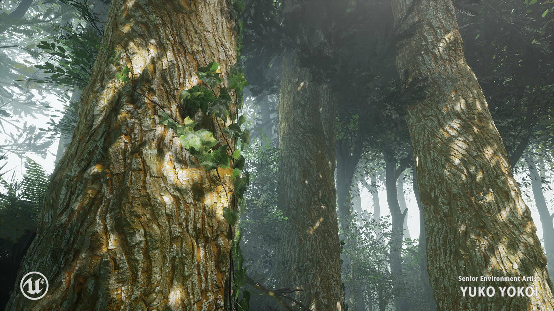千年樹の樹皮鎧 Barkskin of the Millennium Tree Millennium Tree - Famous Redwoods