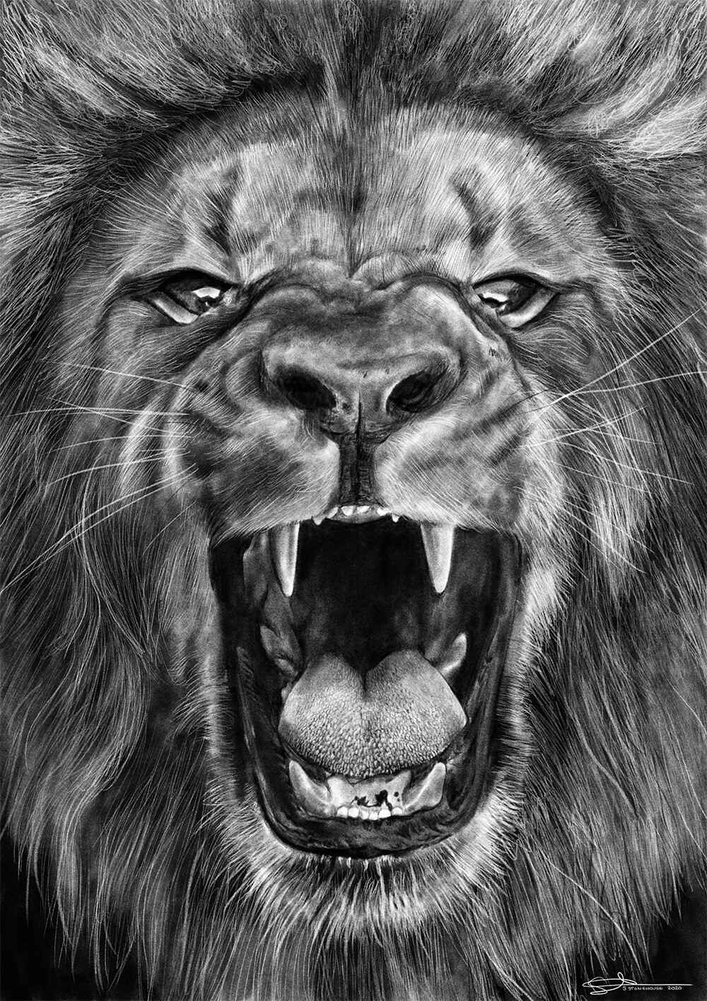 How to Draw a Lion Roaring | Step by Step Guide