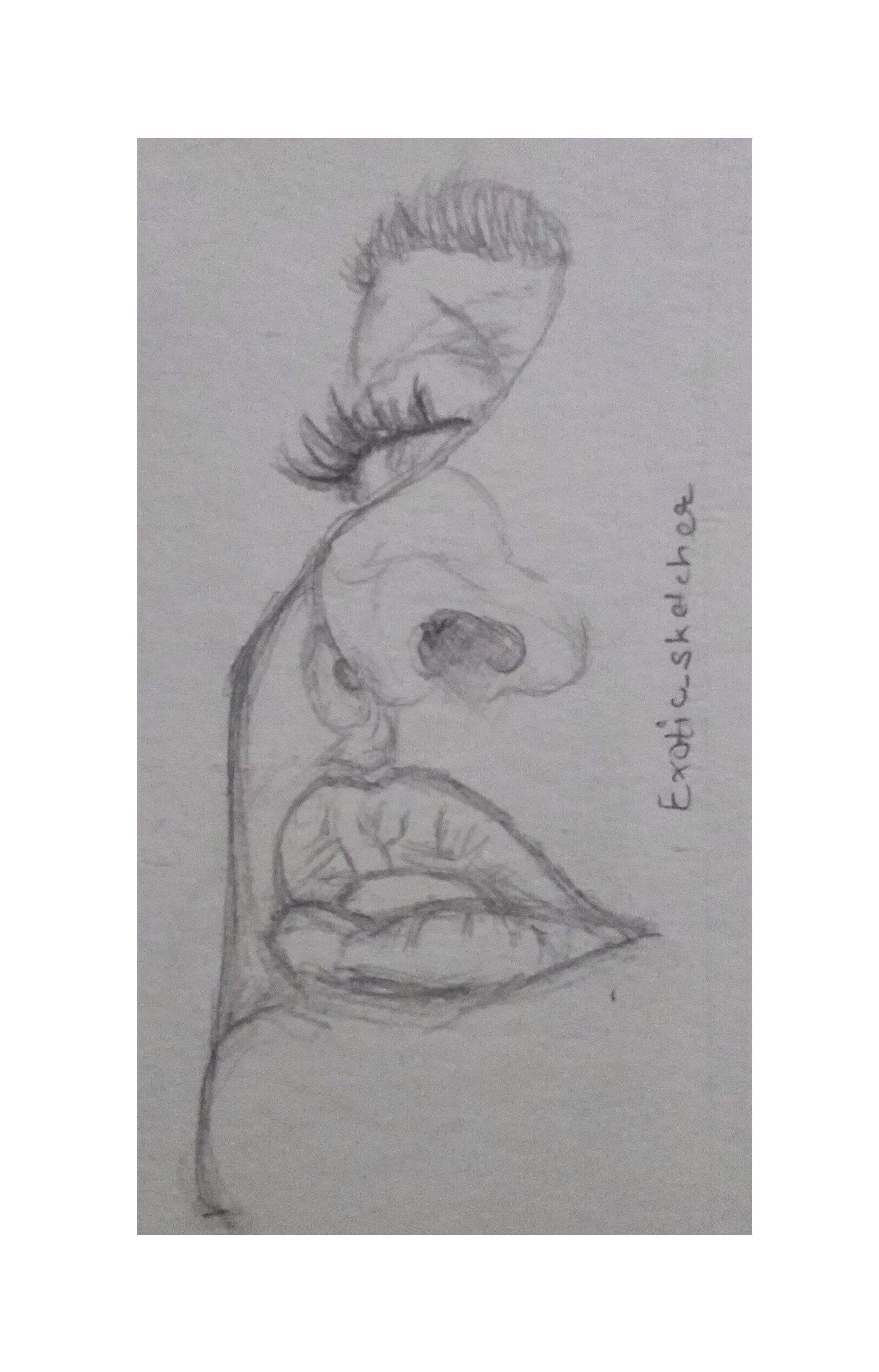 ArtStation - Face Sketch