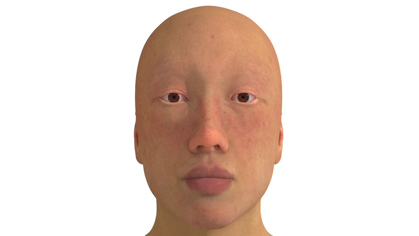Stef: Sculpting and texturing study