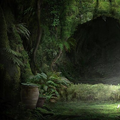 Totoro’s Nest