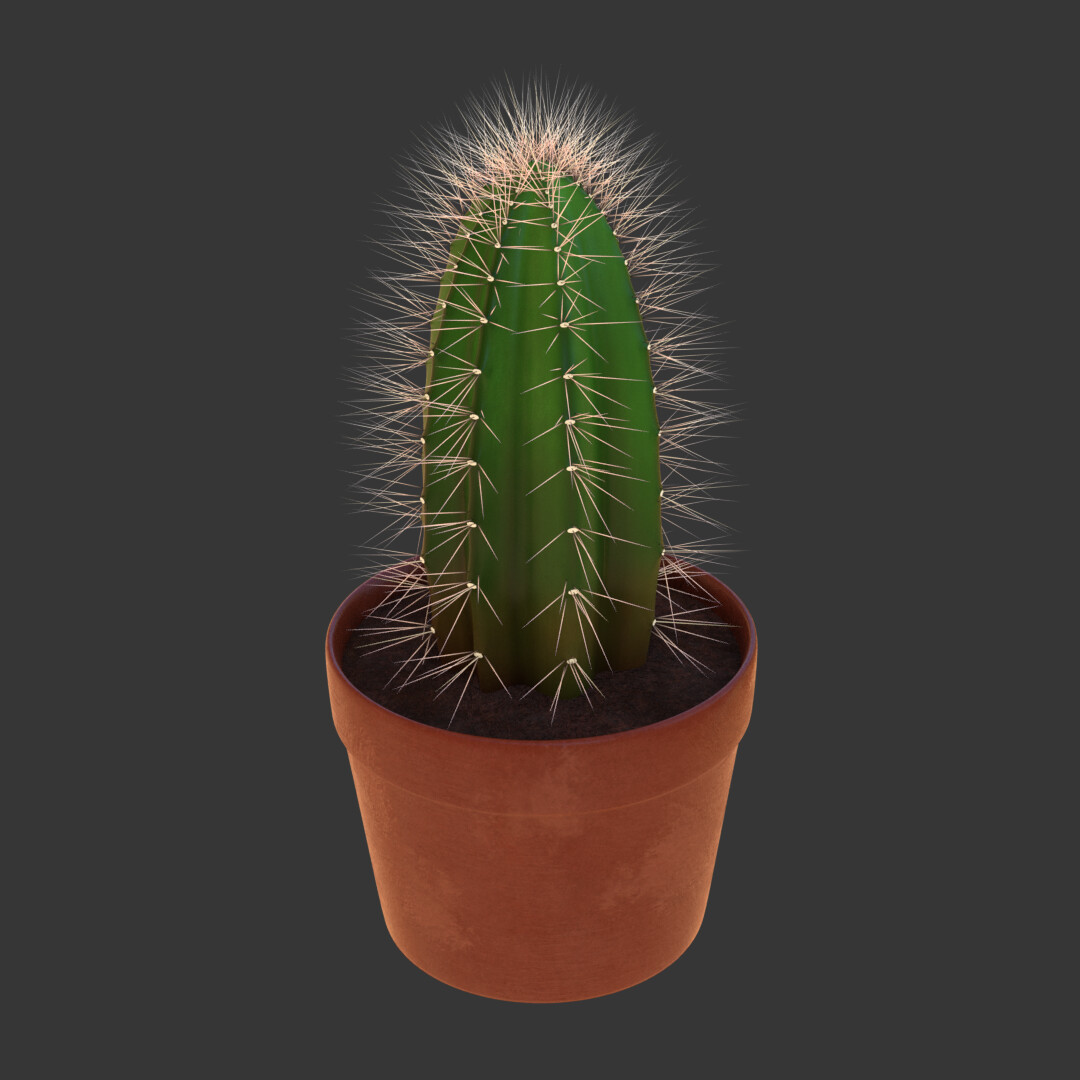 ArtStation - Cacti