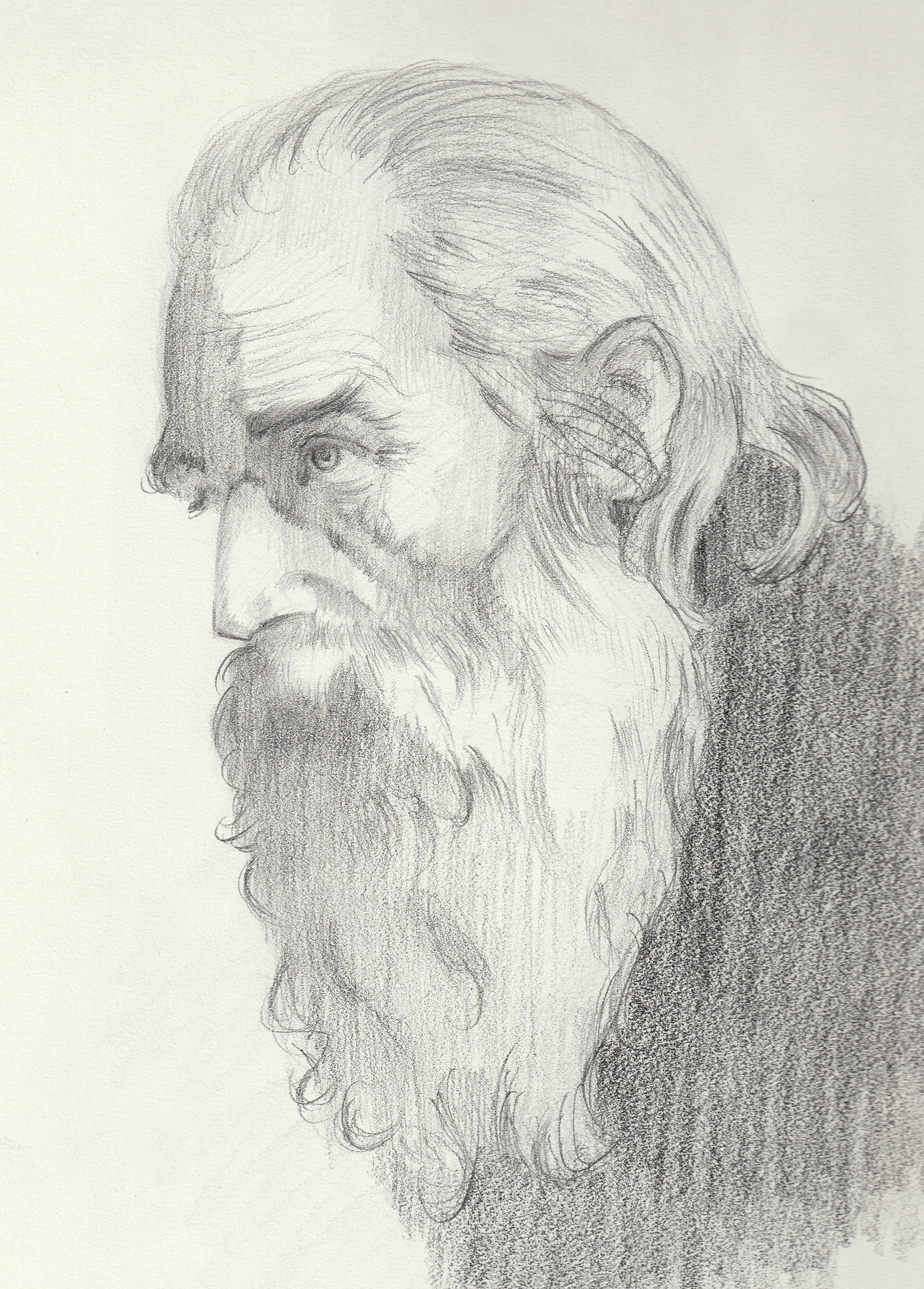 Learn How To Draw An Old Man (Other People) Step By Step : Drawing Tutorials