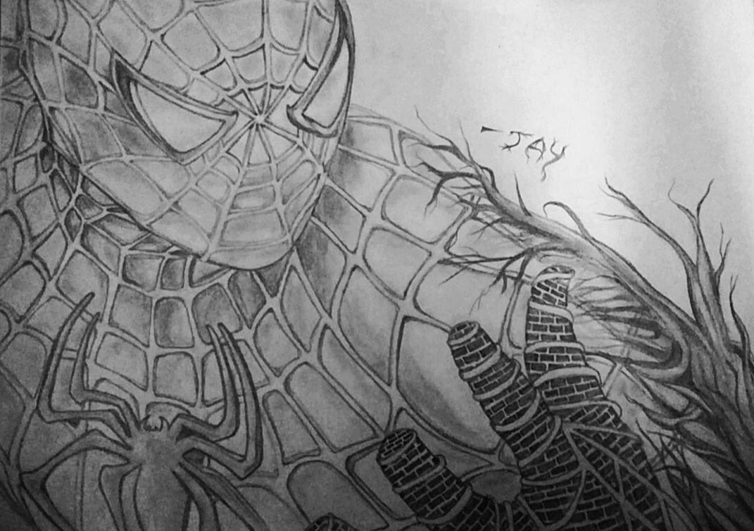 Spiderman drawing hires stock photography and images  Alamy