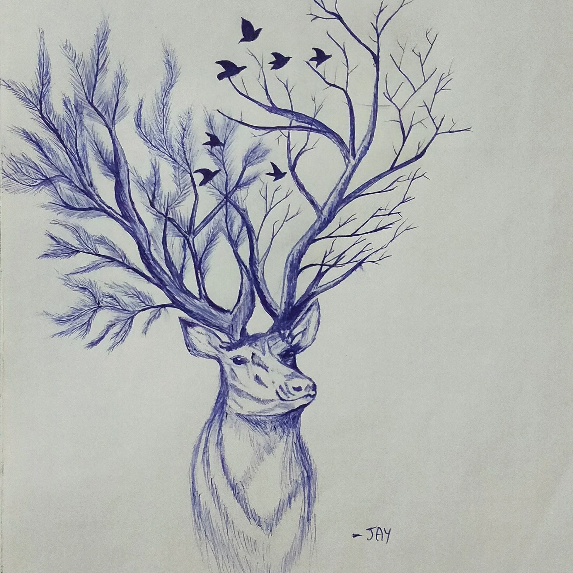 ArtStation Ballpoint pen drawing deer🦌 - Sharma Jay
