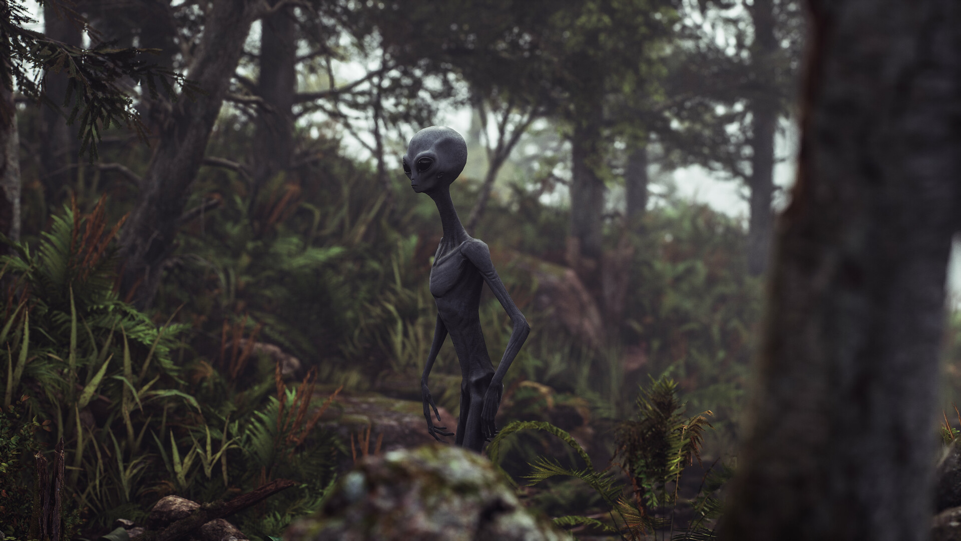 Artstation Grey Alien In A Forest Render With Unreal Engine 4 25 Pasquale Scionti