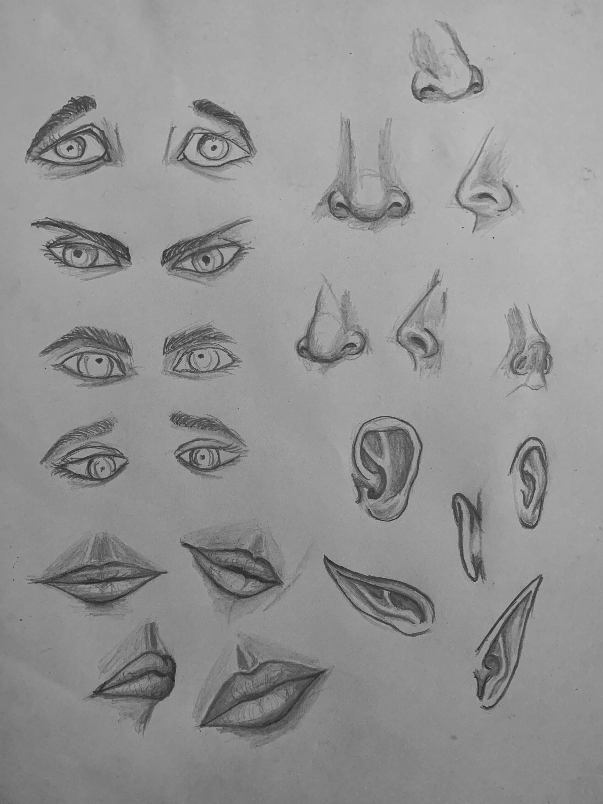 How to sheilding Draw a Basic