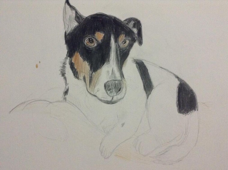 artstation-portrait-of-my-dog