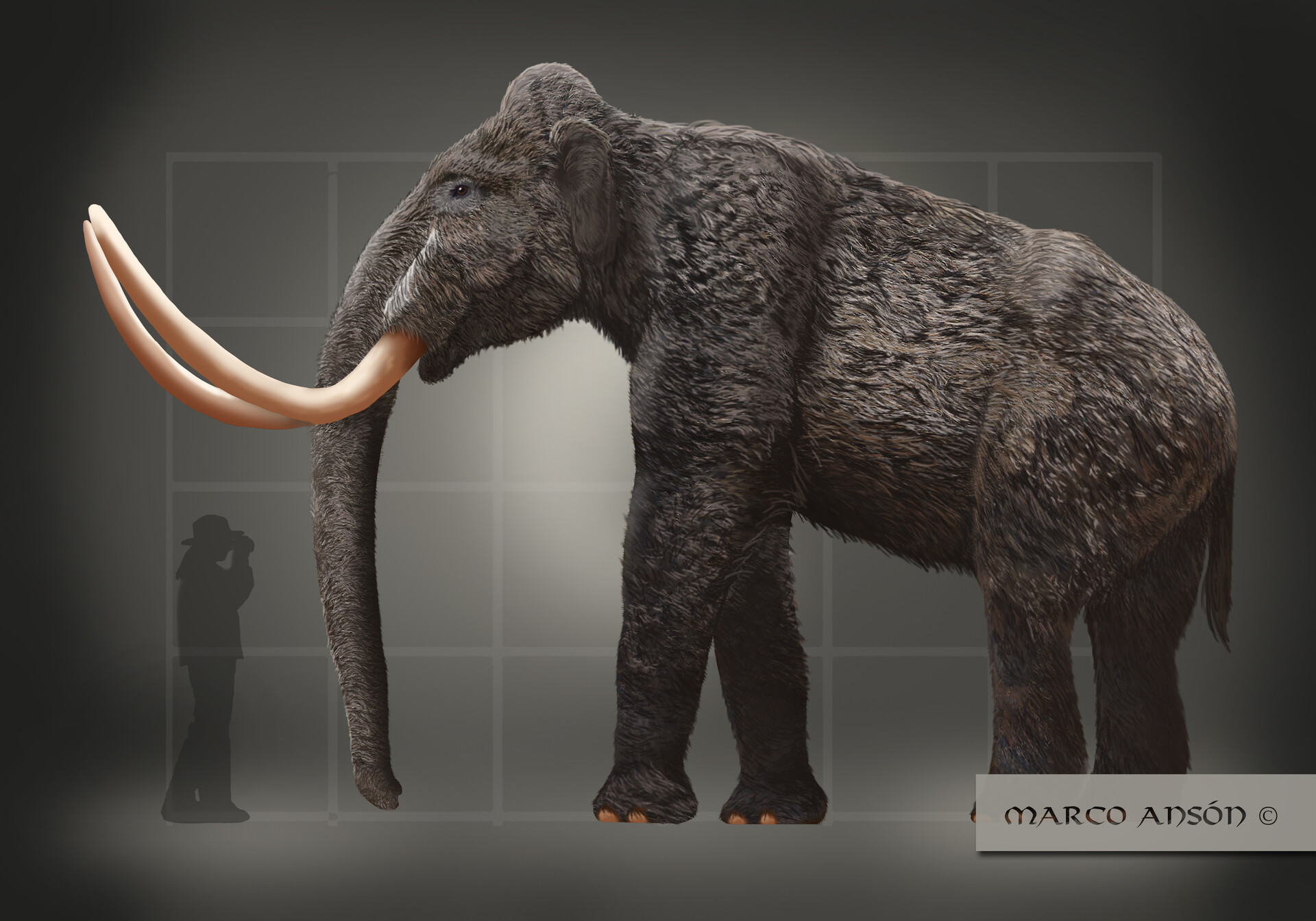 Artstation Mammuthus Trogontherii Steppe Mammoth Reconstruction Marco Anson Today, siberia has relatively low biodiversity, but that wasn't always the for our arctic mammoth steppe, we know that on each square kilometer was one mammoth, five bison. mammuthus trogontherii steppe mammoth