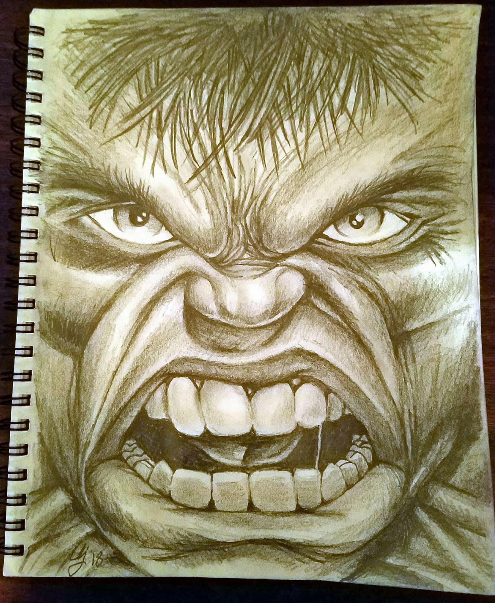 The Hulk Pencil drawing by Paul Stowe  Artfinder