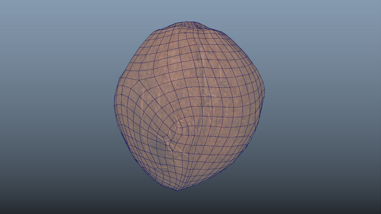 Exotic Fruit Coconut Wireframe