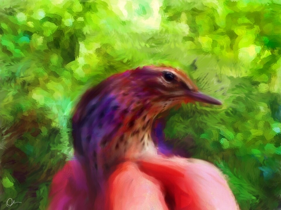 Artstation Digital Art Painting A Bird Migratory Jq Q Brito