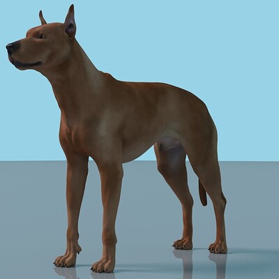 Marya menaka german pinscher dog rigged 3d model dhq