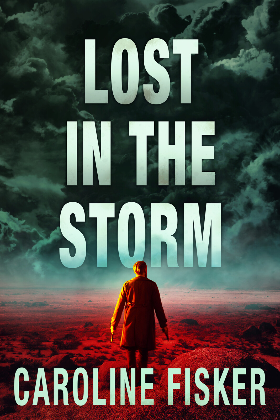  Book Cover for 'Lost in the Storm'