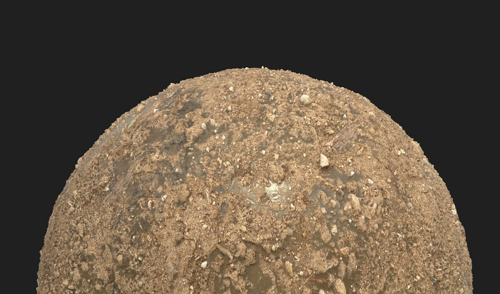 Soil, captured with iPhone 11, material in Substance Alchemist/Designer