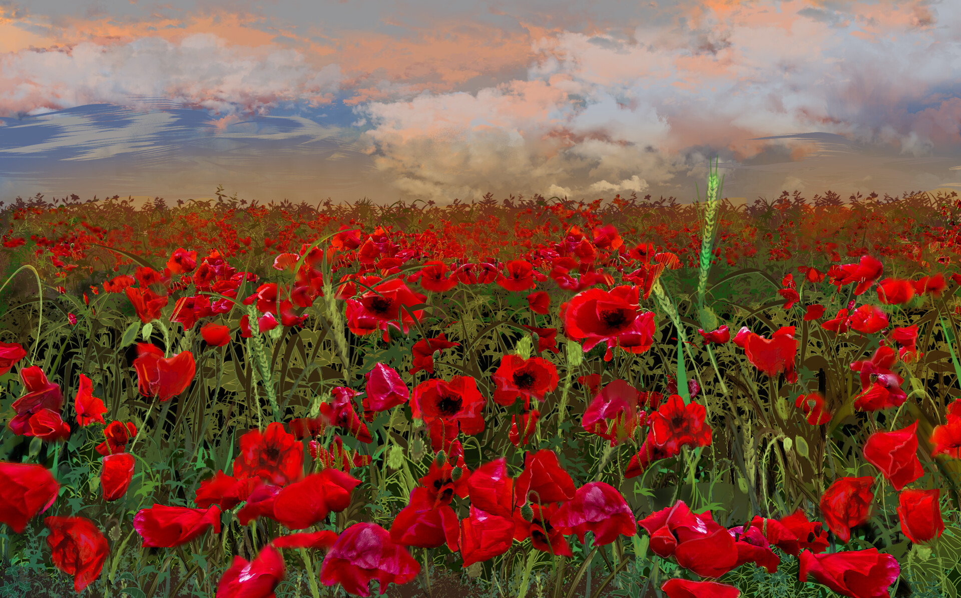 Featured image of post Anime Flower Field Background Share the best gifs now