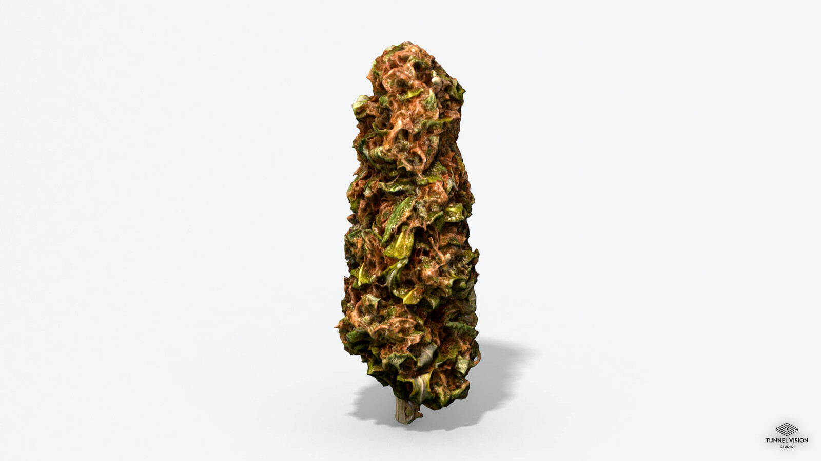 Marijuana Bud 1