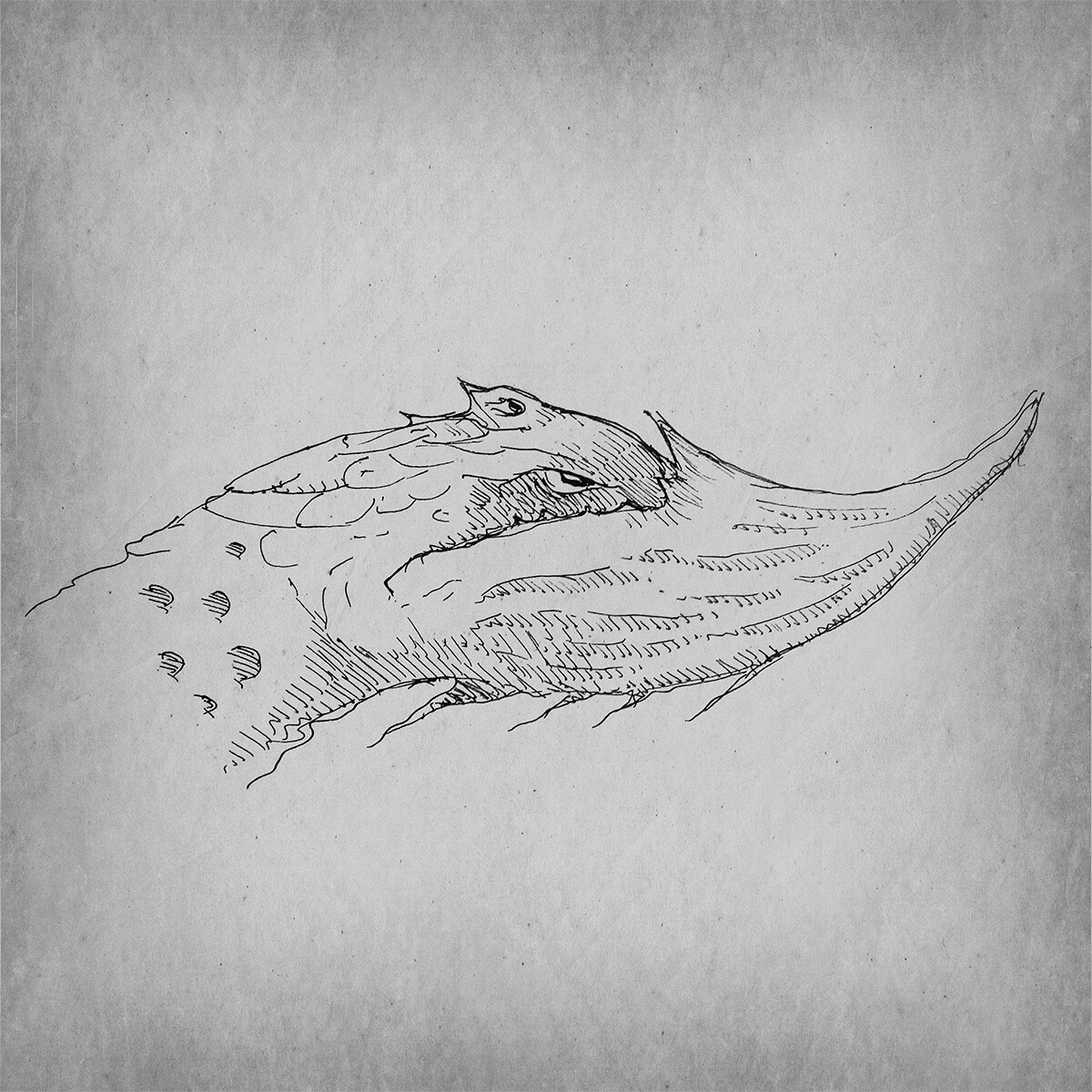 Sketch