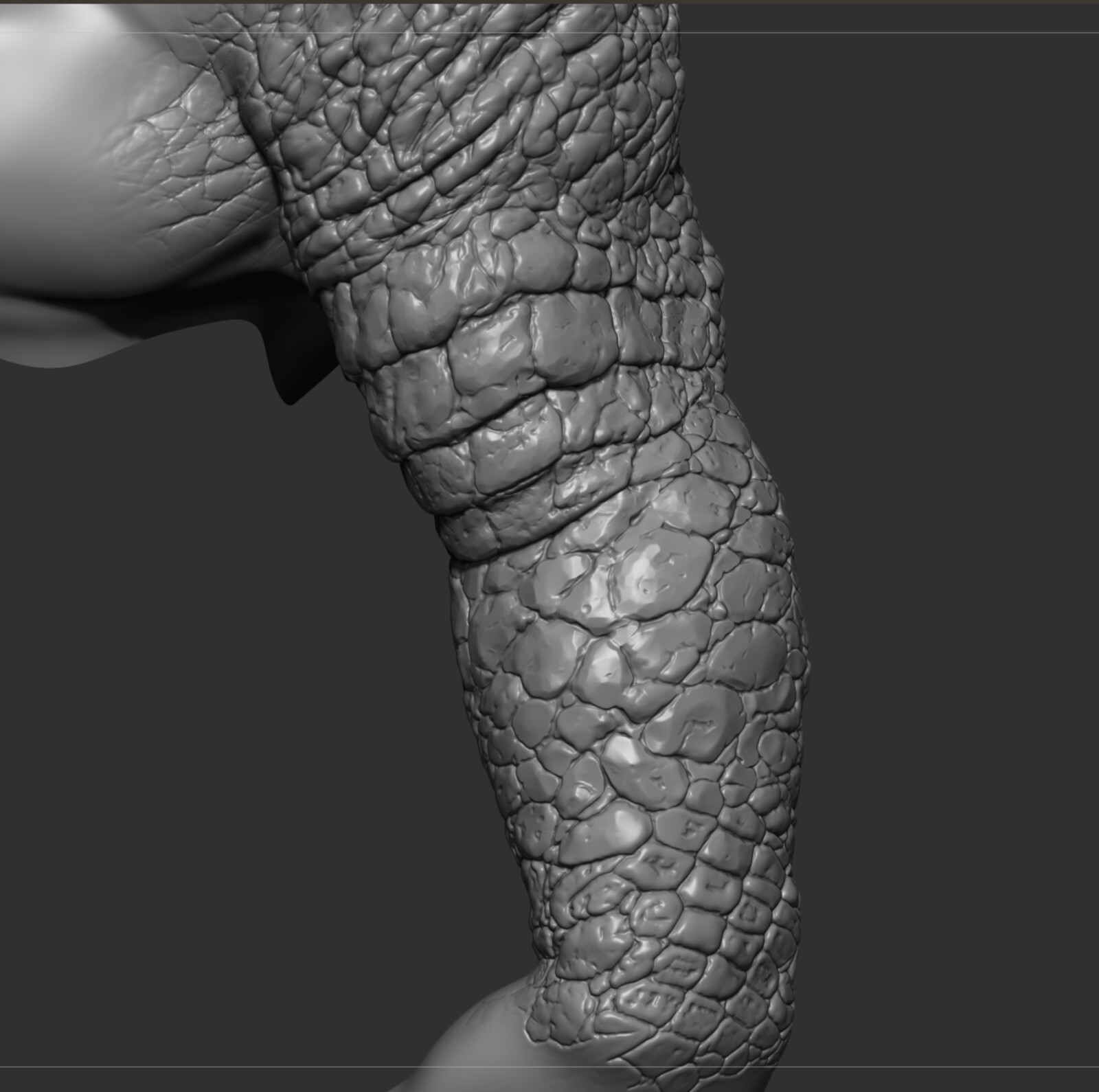 The sculpt in Zbrush
