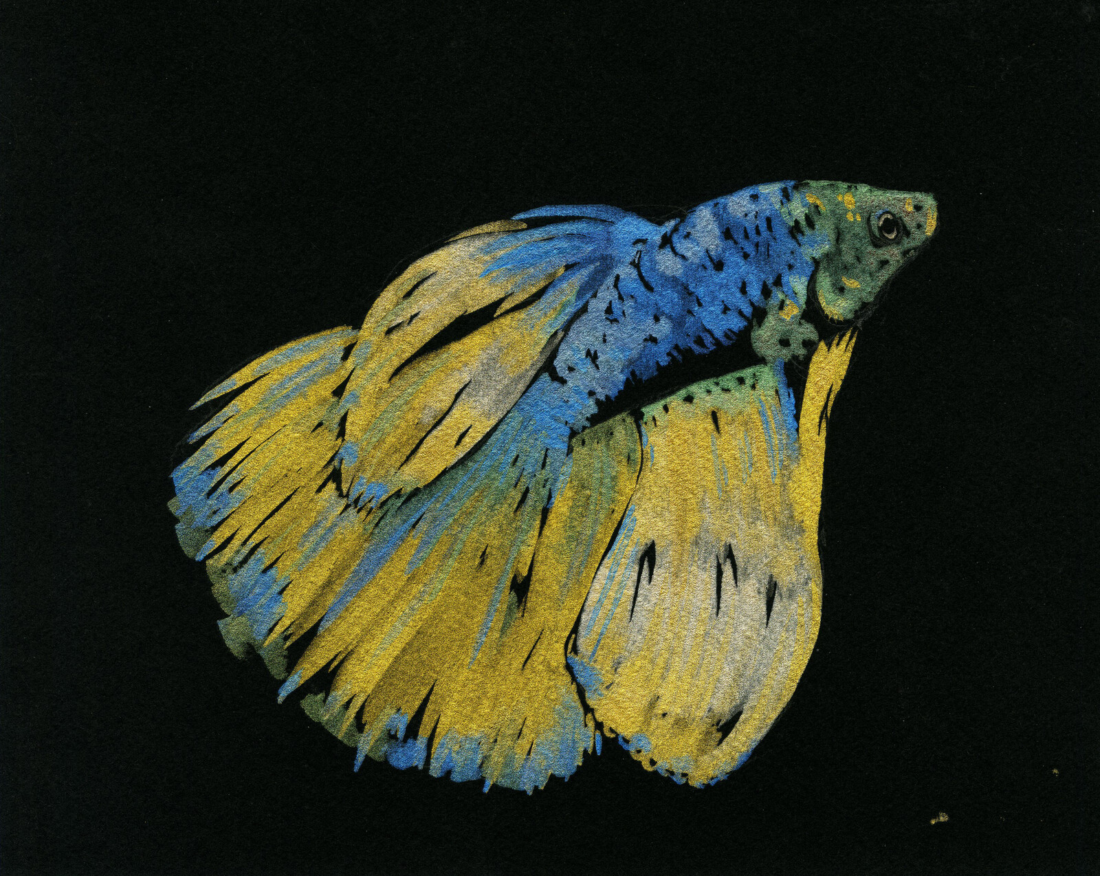 Metallic watercolor illustration of a betta fish.