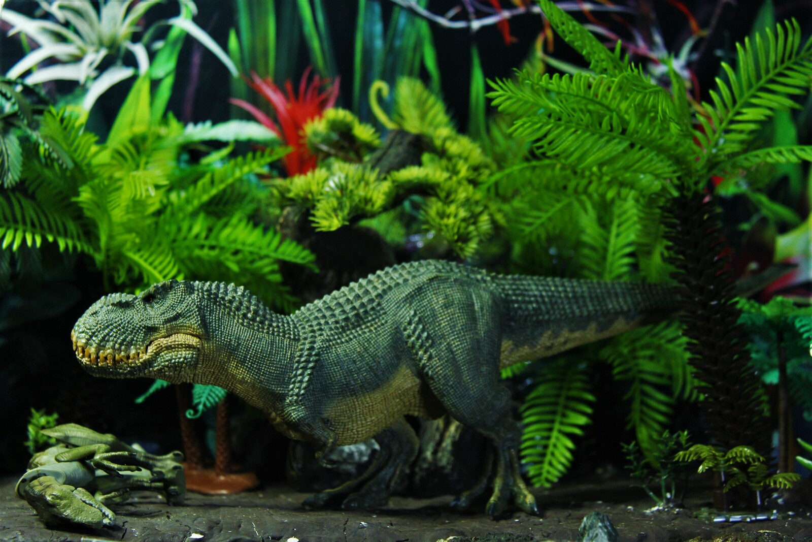 rebor v rex