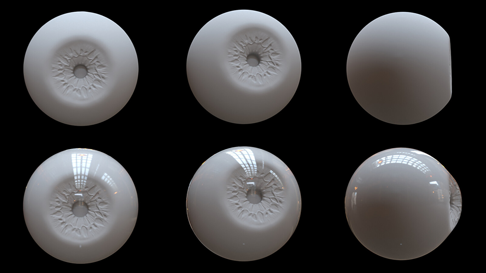 High Poly Sculpt -- with and without lens