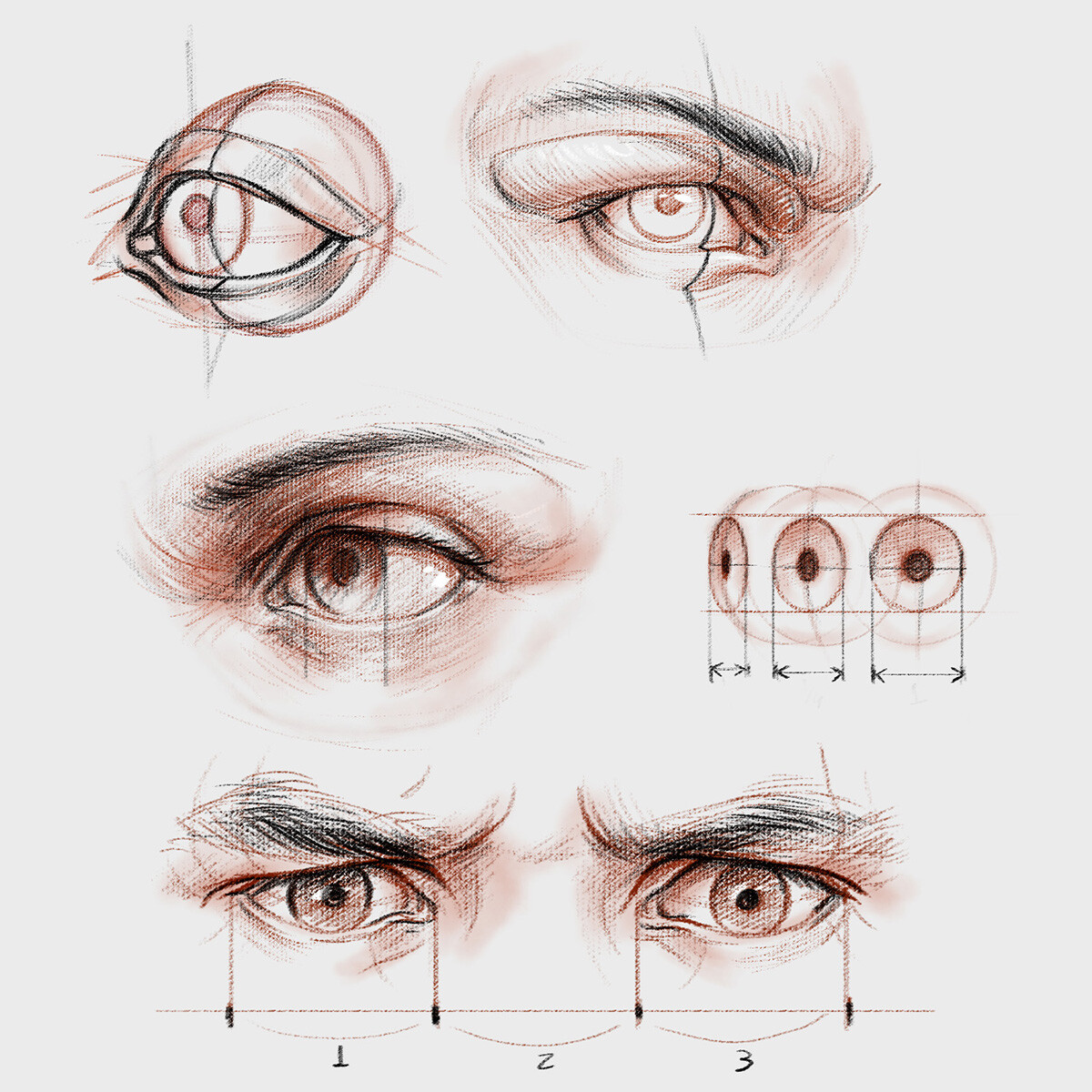 1,400+ Human Eye Diagram Stock Illustrations, Royalty-Free Vector Graphics  & Clip Art - iStock | Eye chart, Eye ball