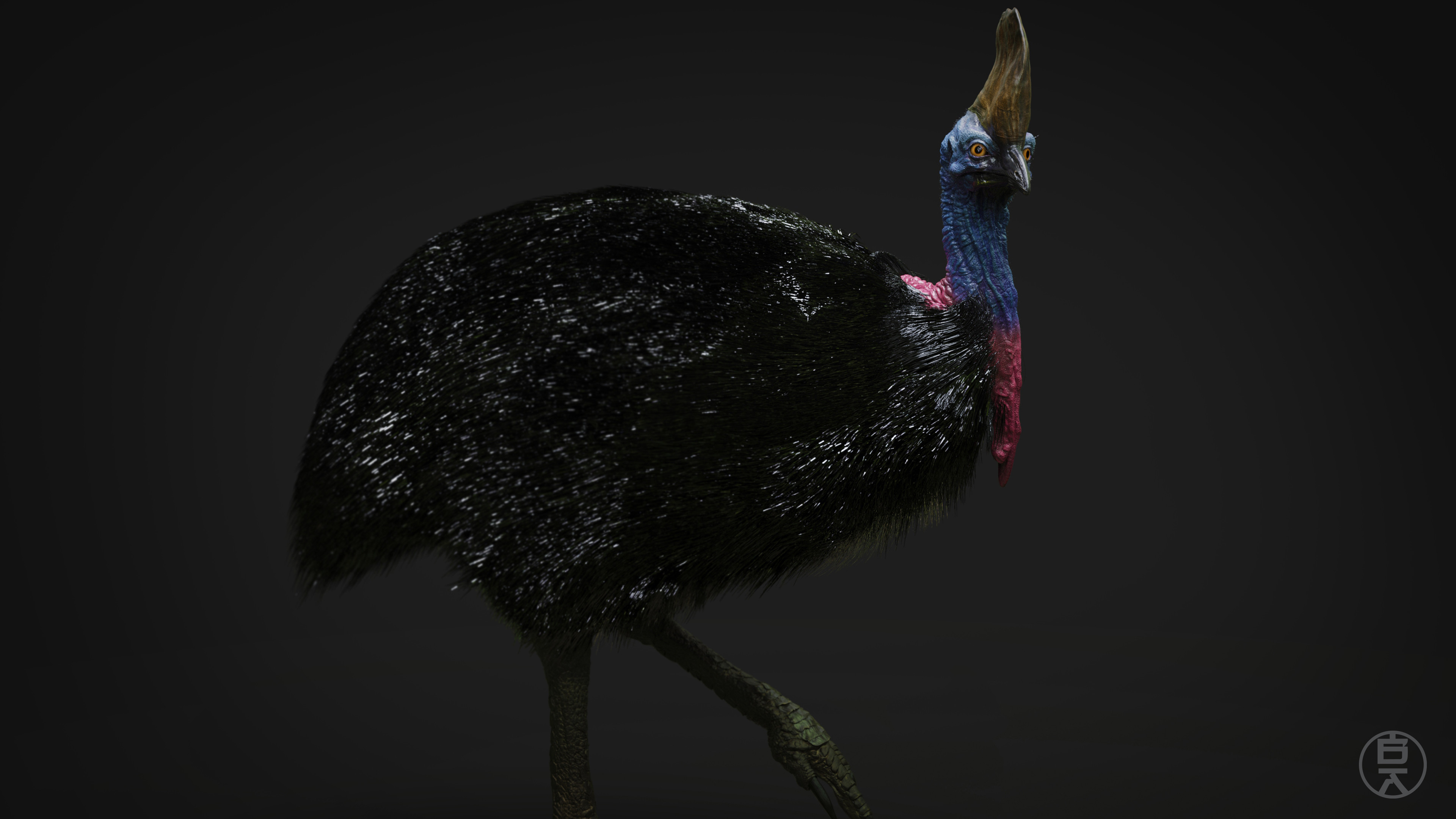 It had to accurately capture the likeness  &amp; scale of a female cassowary