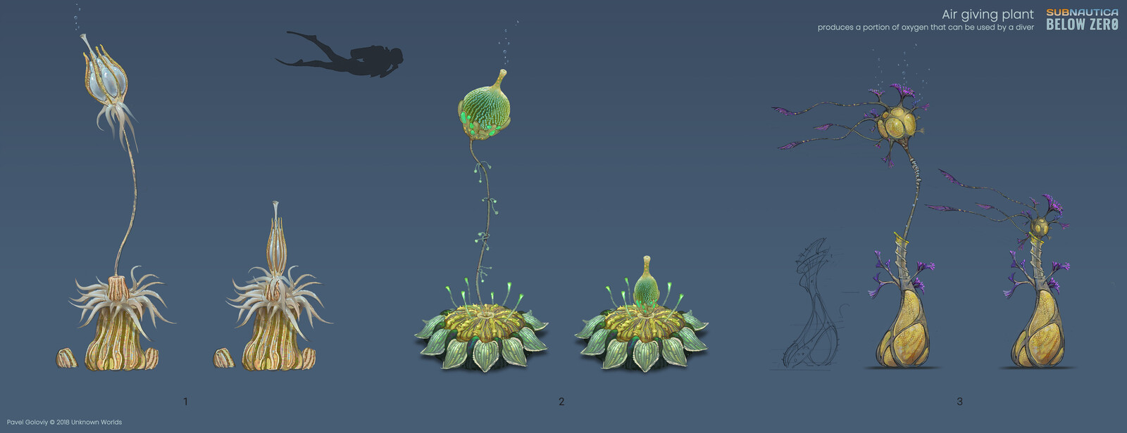 Air giving plant variants