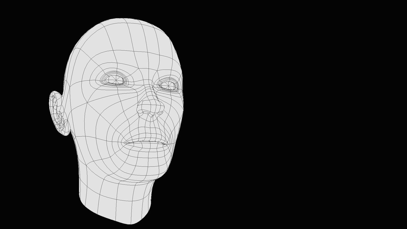 The wire frame model.