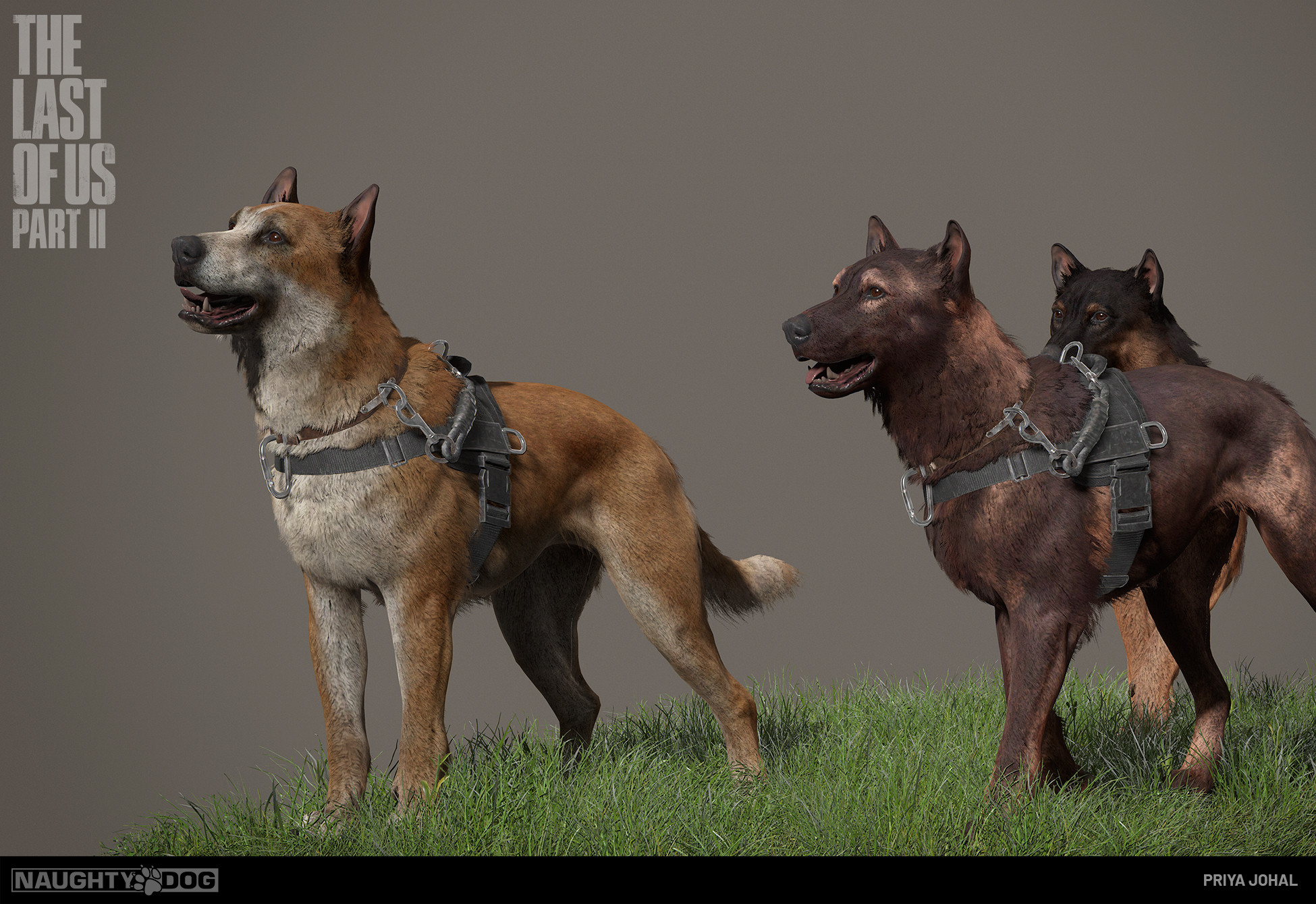 Naughty dog проекты будущие