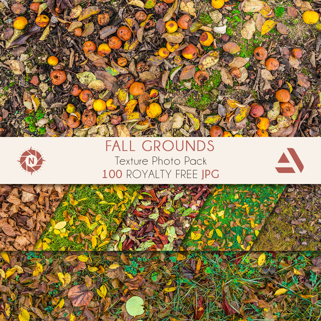 Texture Photo Pack: Fall Grounds

https://www.artstation.com/a/165917