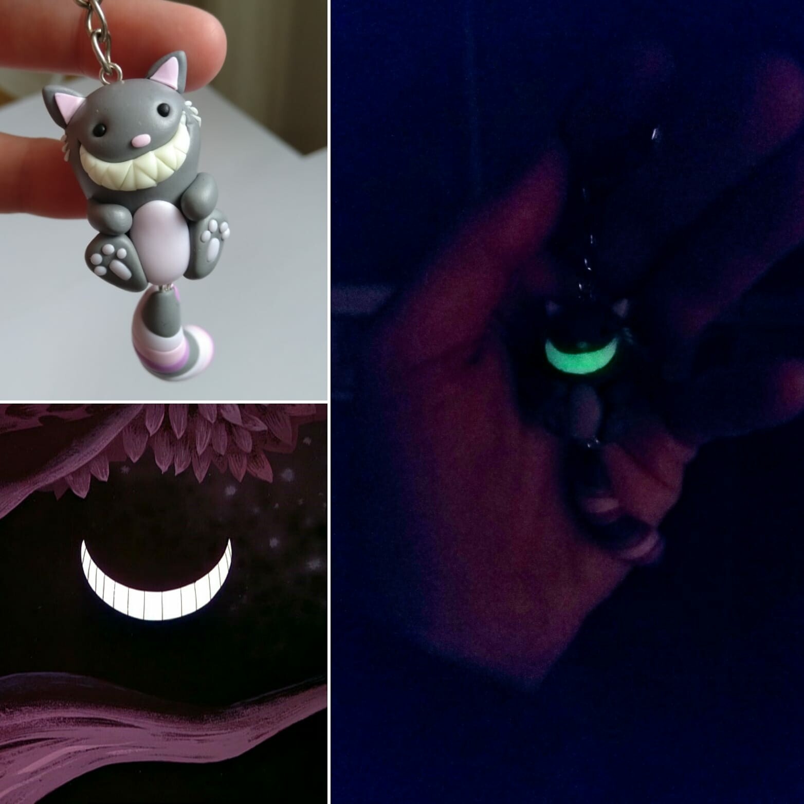 My Cat's smile as compared to the one of Disney's Cheshire Cat