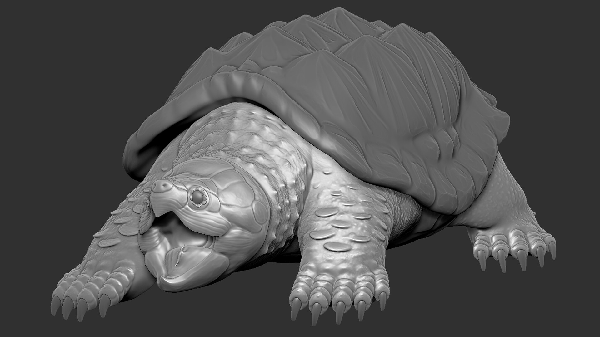 Artstation alligator snapping turtle 3d model