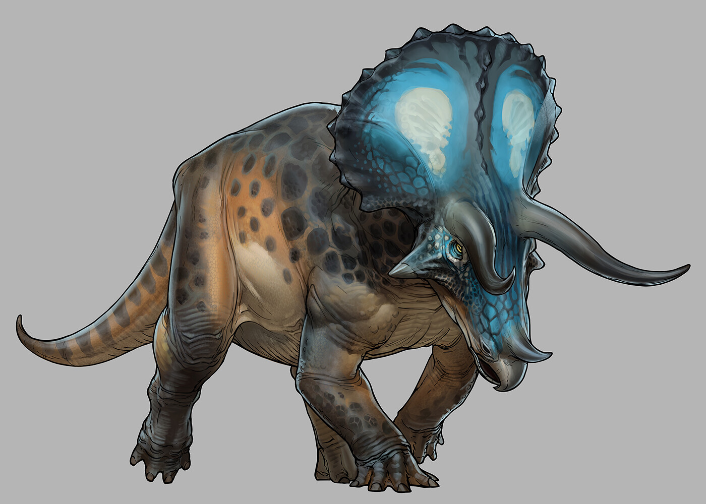 colour of triceratops