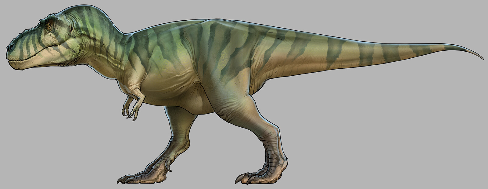 t rex jack