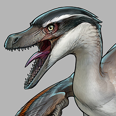 Velociraptor
