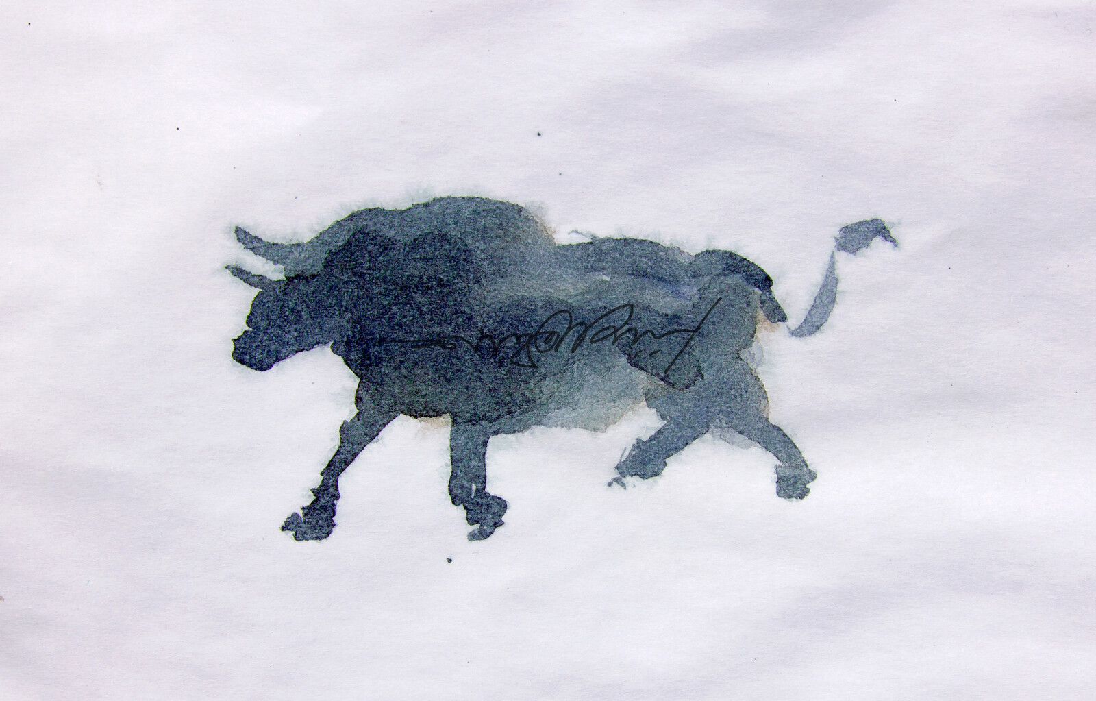 BULL WATERCOLOR ILLUSTRATION