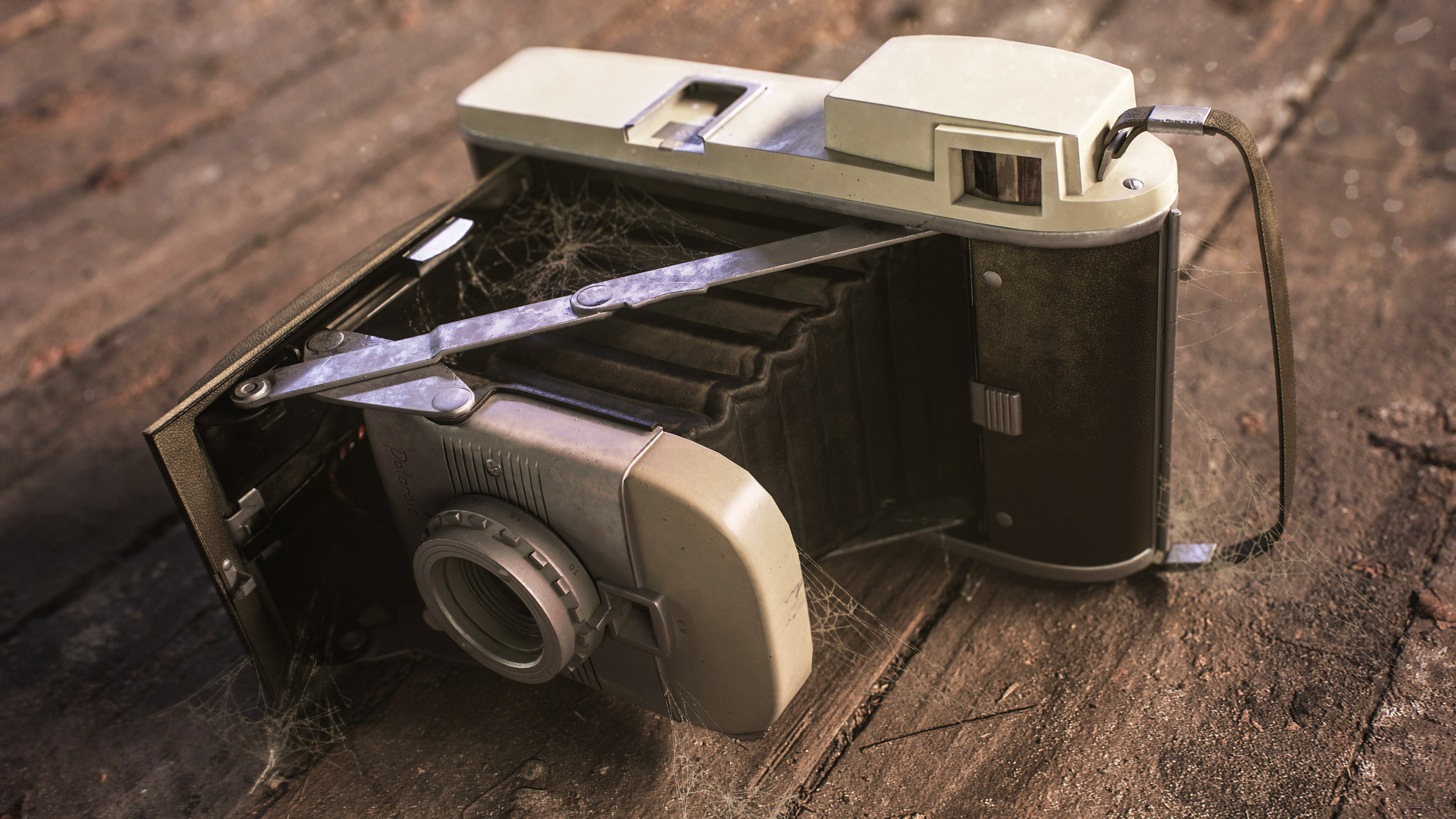 Anson Weese - 1950's Polaroid Camera